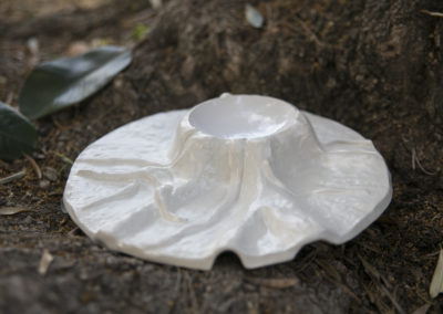 «Ficus», Villa Retiro